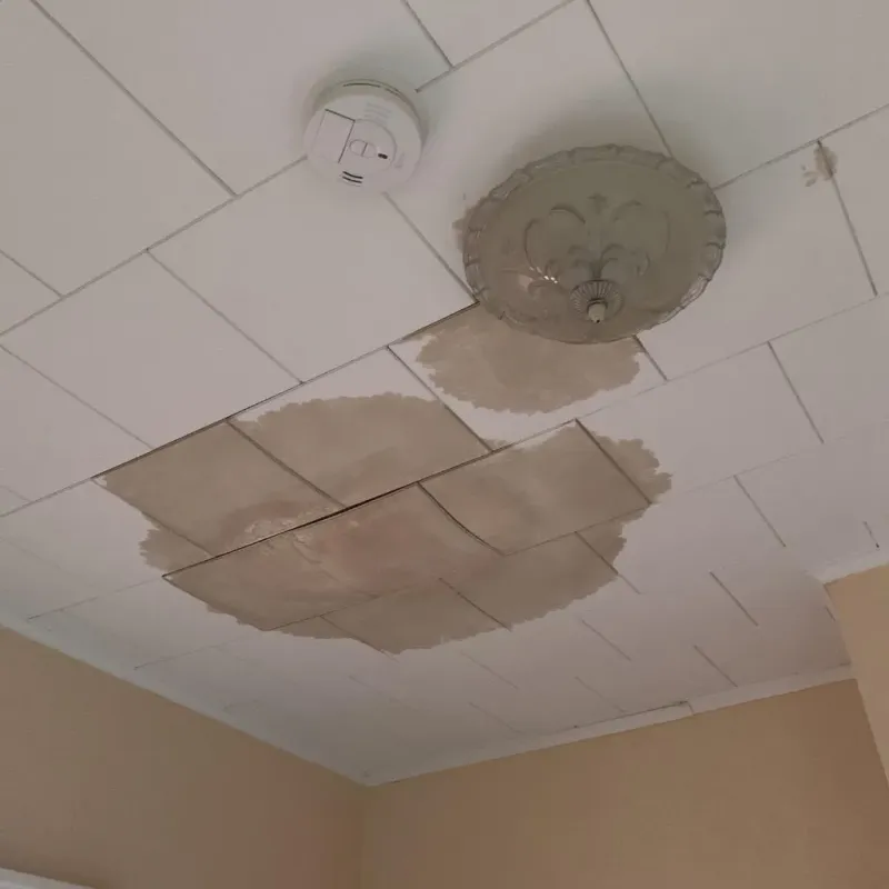 Ceiling Water Damage Repair in Westlake, OH